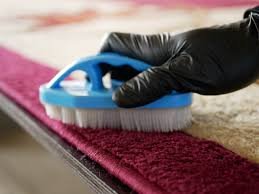 Brosse de nettoyage pour tapis et textiles